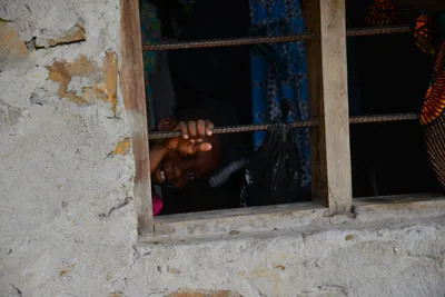 DSC_4742 (Large).JPG